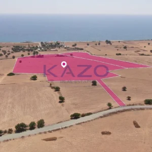 16,724m² Plot for Sale in Agios Theodoros, Larnaca District