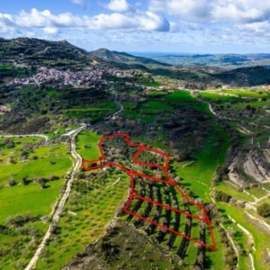 16,545m² Plot for Sale in Dora, Limassol District