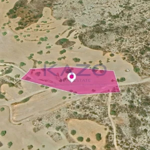 9,031m² Plot for Sale in Vasa Kellakiou, Limassol District