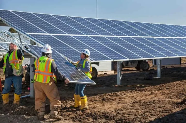 Environmental Groups Oppose Photovoltaic Park Development in Lythrodontas Area