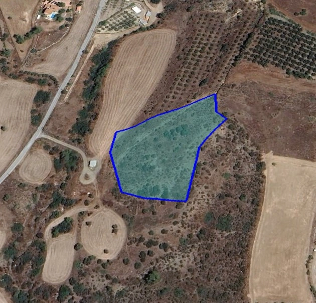 for Sale in Parekklisia, Limassol District
