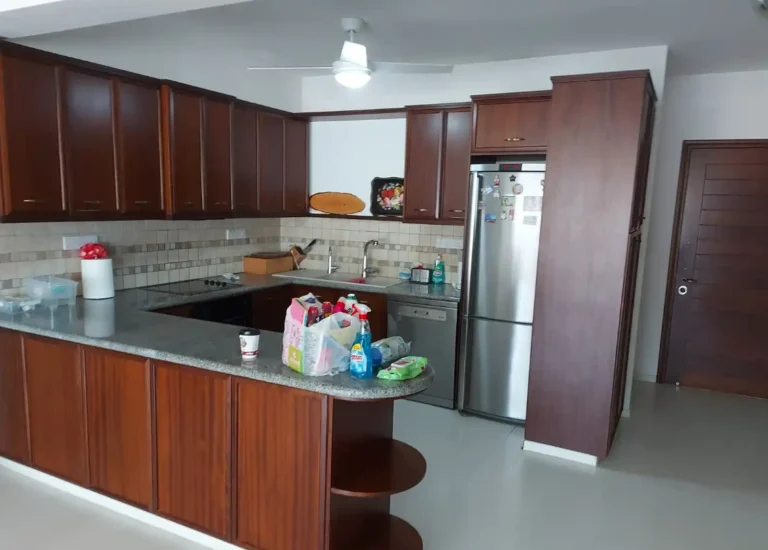 3 Bedroom Apartment for Rent in Limassol District