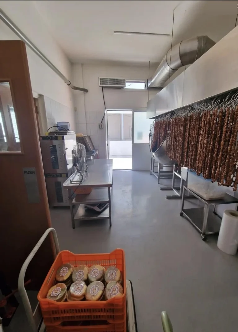 474m² Commercial for Sale in Pano Polemidia, Limassol District