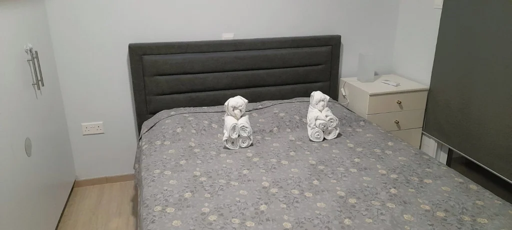 2 Bedroom Apartment for Rent in Paphos – Agios Theodoros