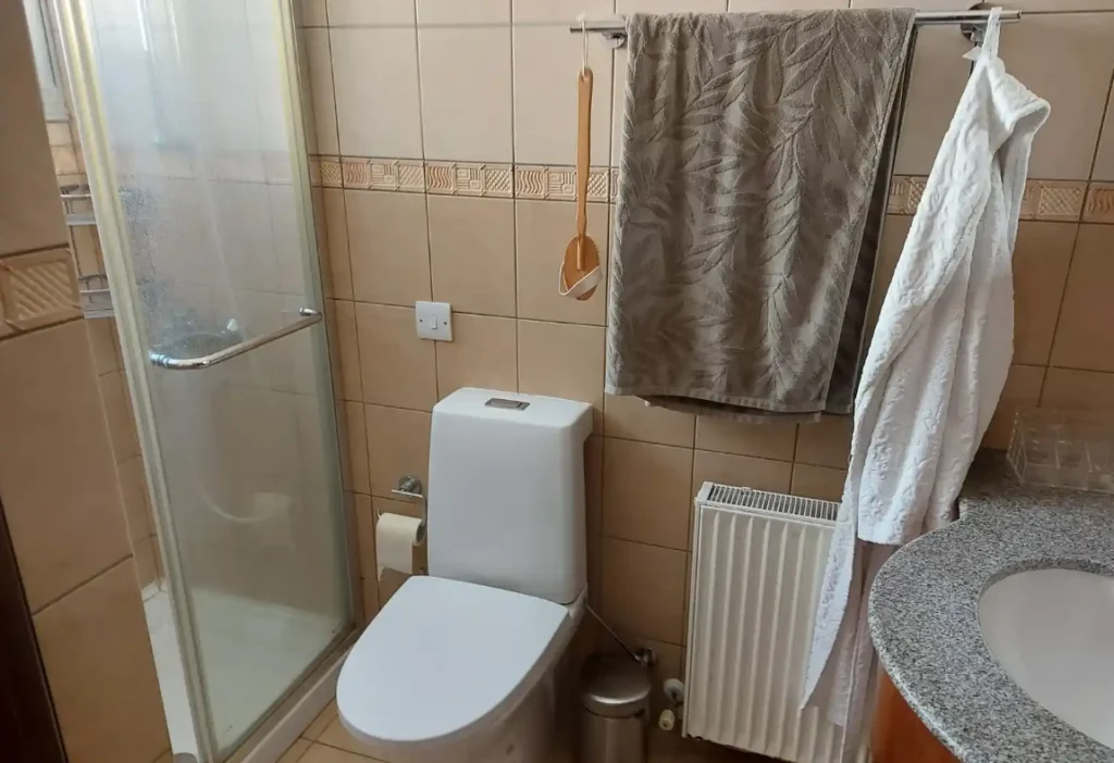 3 Bedroom Apartment for Rent in Limassol District