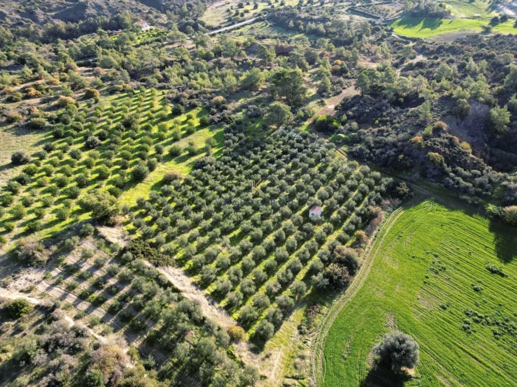 7,024m² Plot for Sale in Kalavasos, Larnaca District