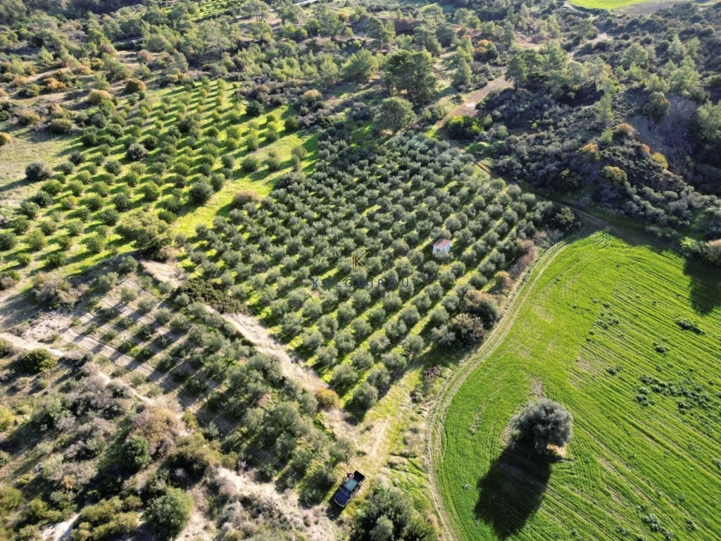 7,024m² Plot for Sale in Kalavasos, Larnaca District