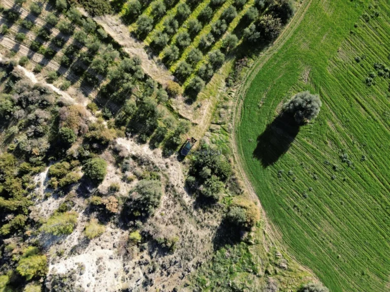 7,024m² Plot for Sale in Kalavasos, Larnaca District