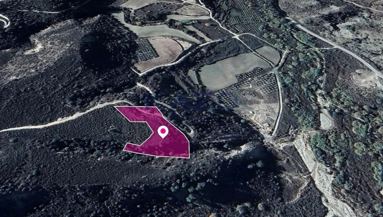 10,368m² Plot for Sale in Dora, Limassol District