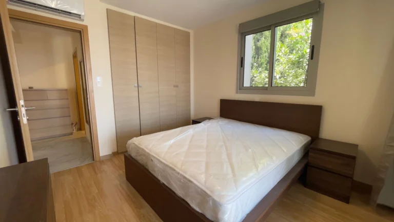 1 Bedroom Apartment for Rent in Limassol District