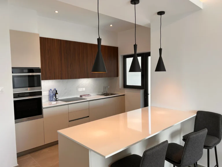 3 Bedroom Apartment for Rent in Limassol District