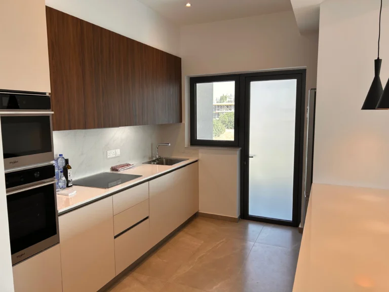 3 Bedroom Apartment for Rent in Limassol District