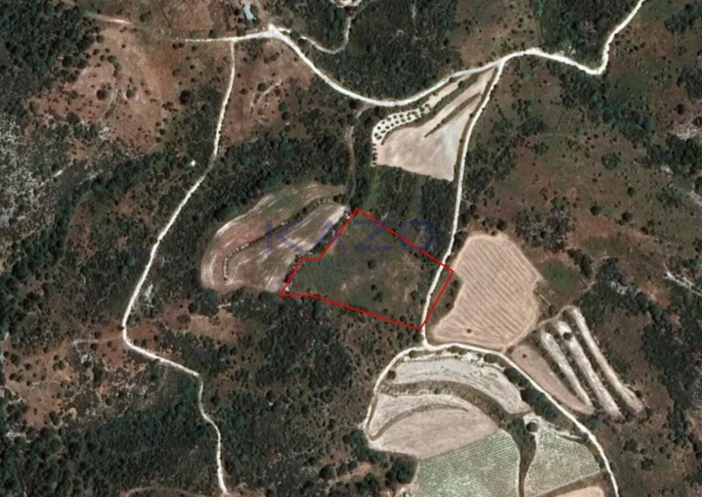 8,027m² Plot for Sale in Dora, Limassol District