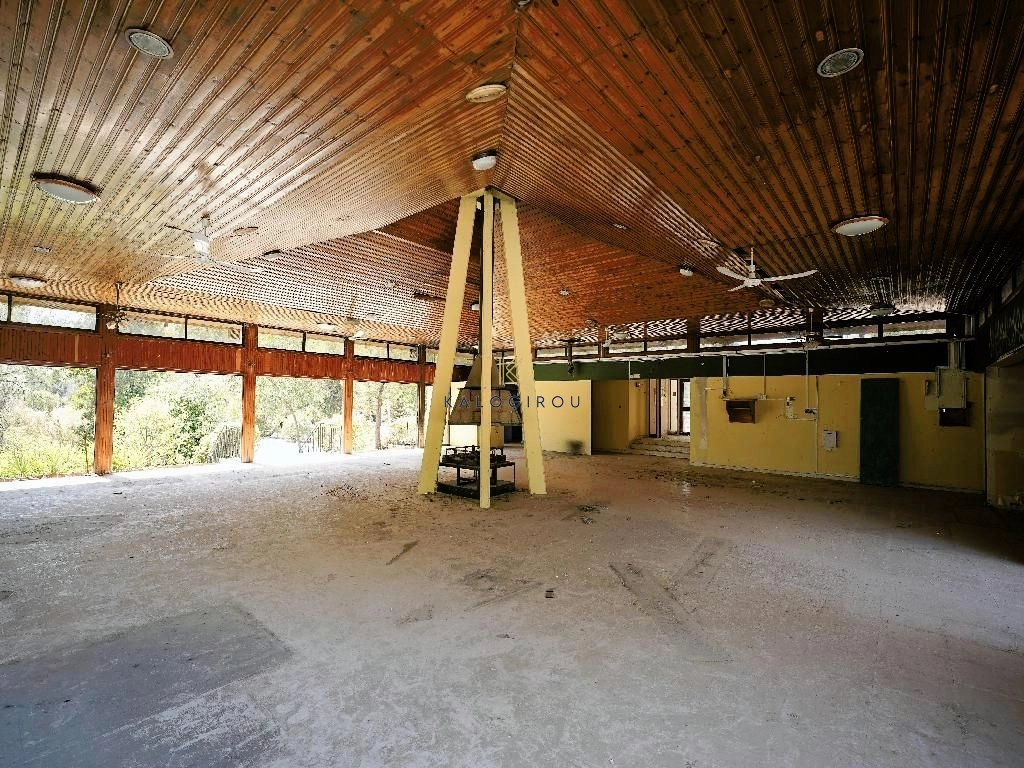 795m² Building for Sale in Kapedes, Nicosia District