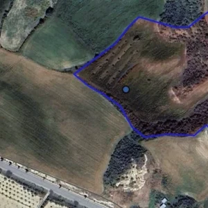 32,108m² Plot for Sale in Steni, Paphos District