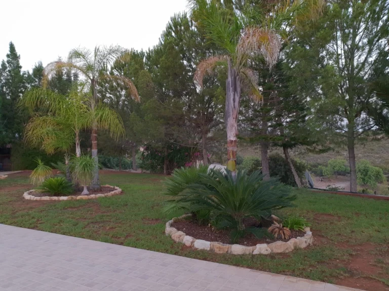 5 Bedroom House for Sale in Paramytha, Limassol District