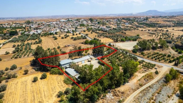 890m² Commercial for Sale in Orounta, Nicosia District