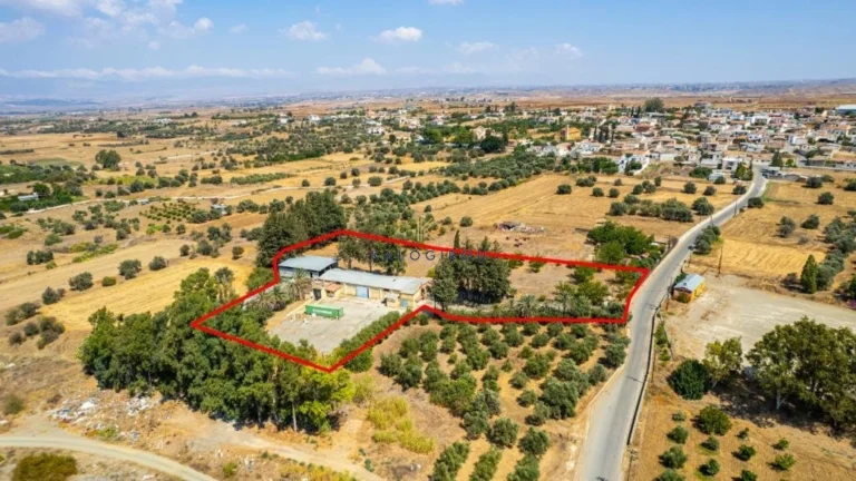 890m² Commercial for Sale in Orounta, Nicosia District
