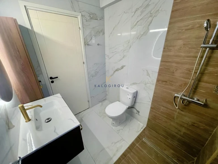 2 Bedroom Apartment for Rent in Larnaca District