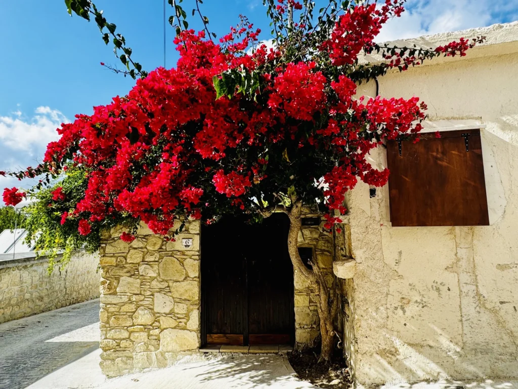 3 Bedroom House for Sale in Paphos