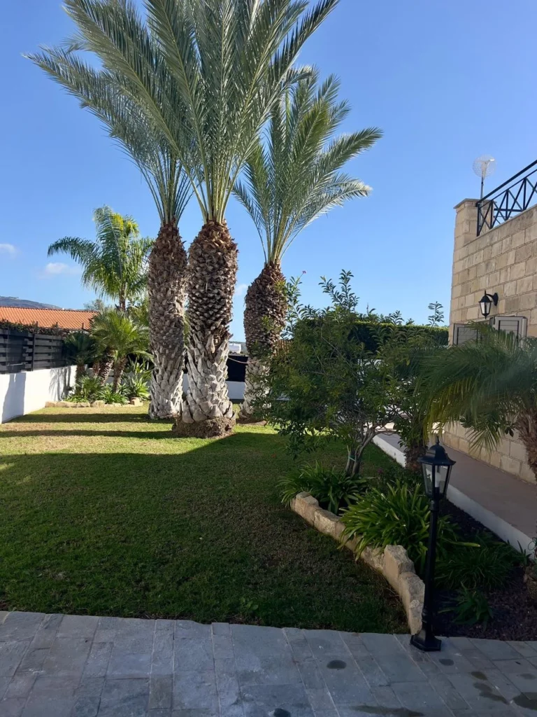 3 Bedroom House for Sale in Pegeia, Paphos District
