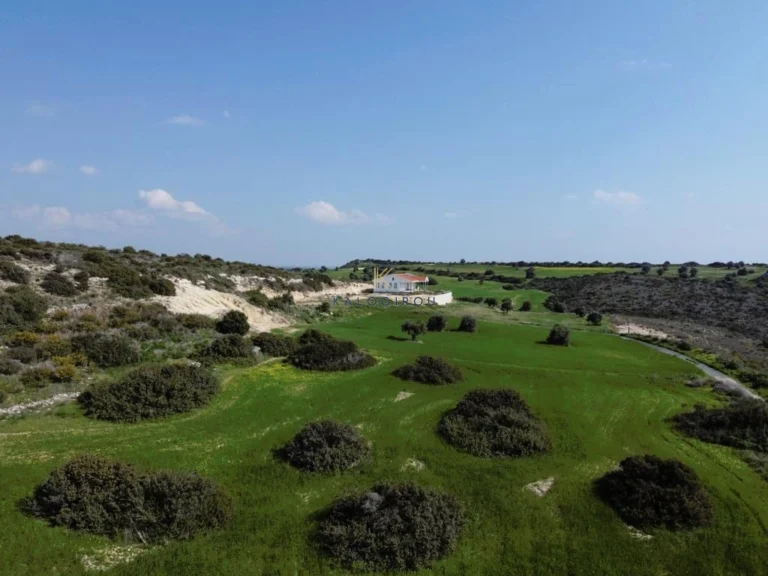 20,402m² Plot for Sale in Agios Theodoros, Larnaca District