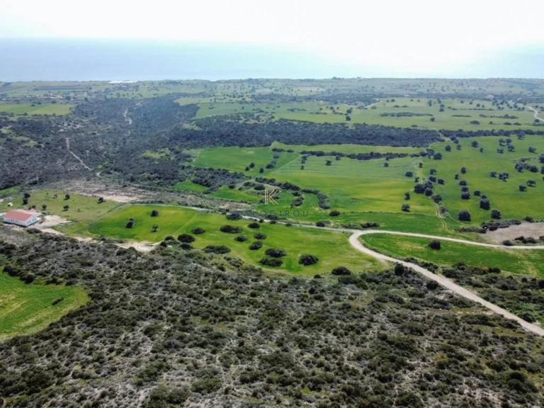 20,402m² Plot for Sale in Agios Theodoros, Larnaca District
