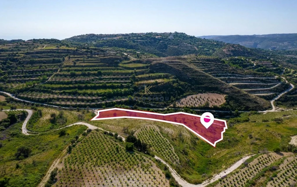 12,041m² Plot for Sale in Tsada, Paphos District