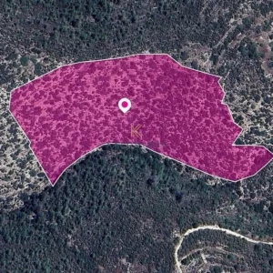 16,389m² Plot for Sale in Apsiou, Limassol District