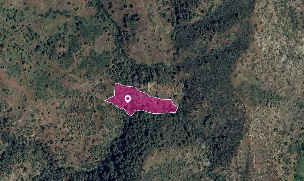 6,511m² Plot for Sale in Pigenia, Nicosia District