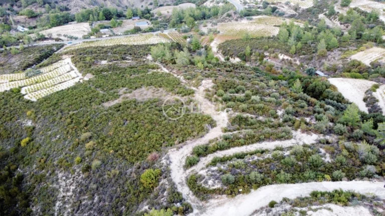 25,284m² Plot for Sale in Agios Mamas, Limassol District
