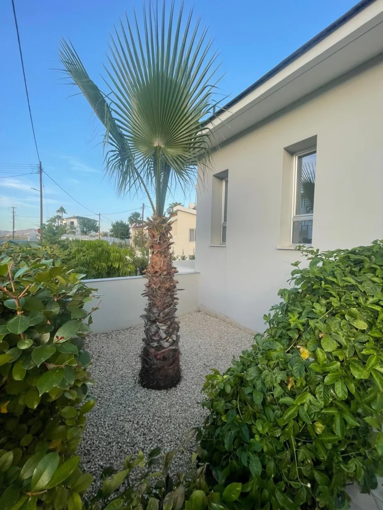 3 Bedroom House for Rent in Pyrgos Lemesou, Limassol District