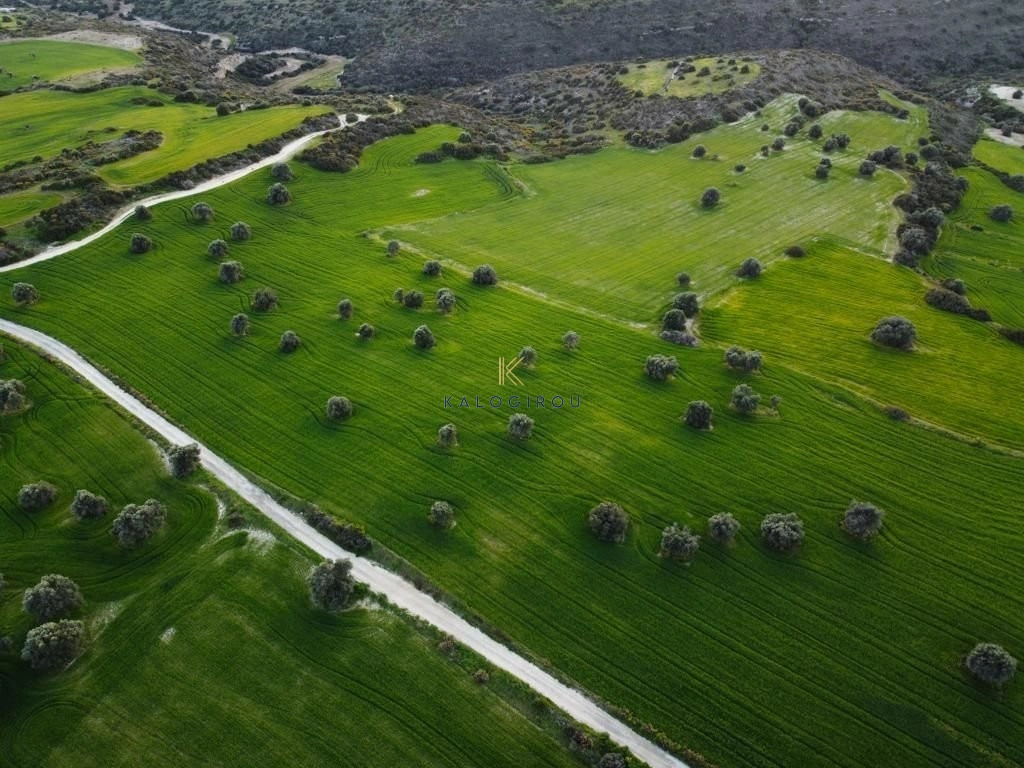 5,352m² Plot for Sale in Agios Theodoros, Larnaca District