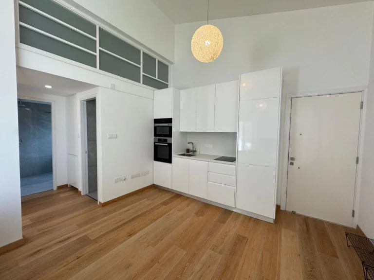 2 Bedroom Apartment for Rent in Limassol District