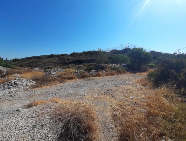 26,133m² Plot for Sale in Mari, Larnaca District