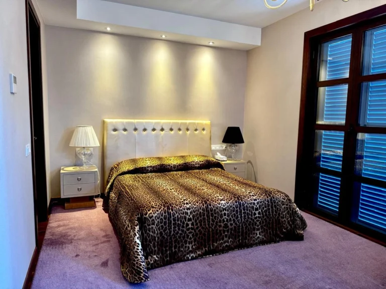 6+ Bedroom House for Sale in Limassol District