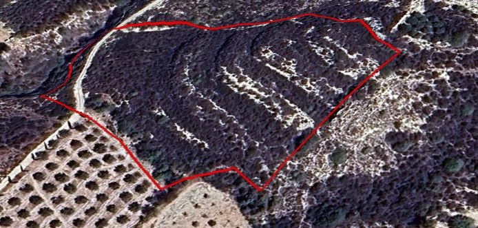 for Sale in Mesogi, Paphos District