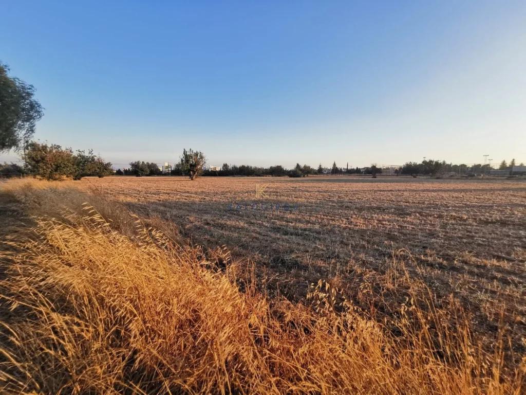 8,362m² Plot for Sale in Limassol District