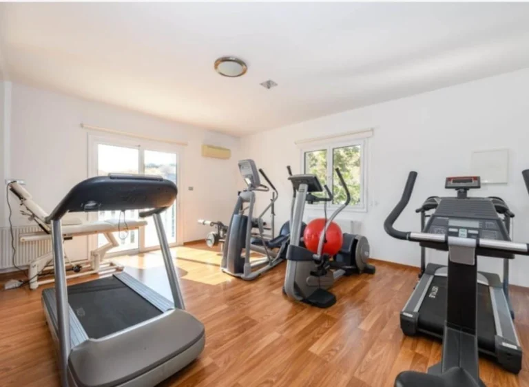6+ Bedroom House for Sale in Pyrgos Lemesou, Limassol District