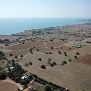 8,696m² Plot for Sale in Agios Theodoros, Larnaca District