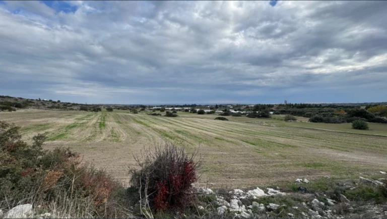 13,378m² Plot for Sale in Kalavasos, Larnaca District