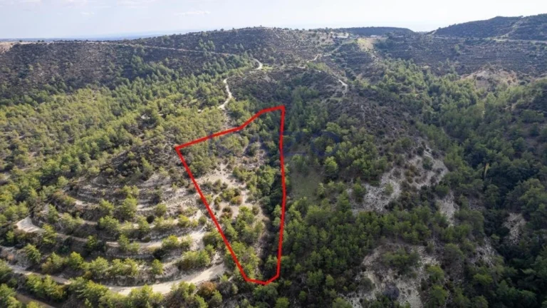 18,395m² Plot for Sale in Anogyra, Limassol District
