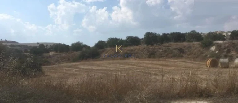 7,358m² Plot for Sale in Alaminos, Larnaca District