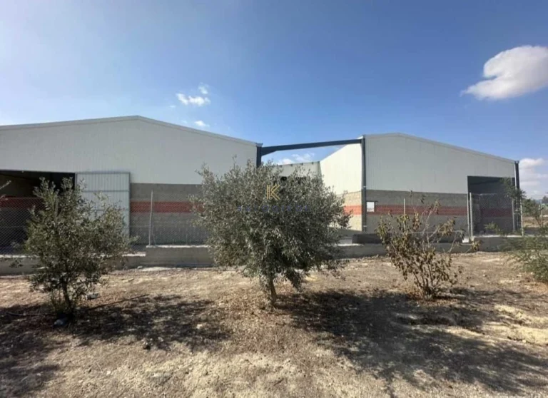 950m² Commercial for Sale in Aradippou, Larnaca District