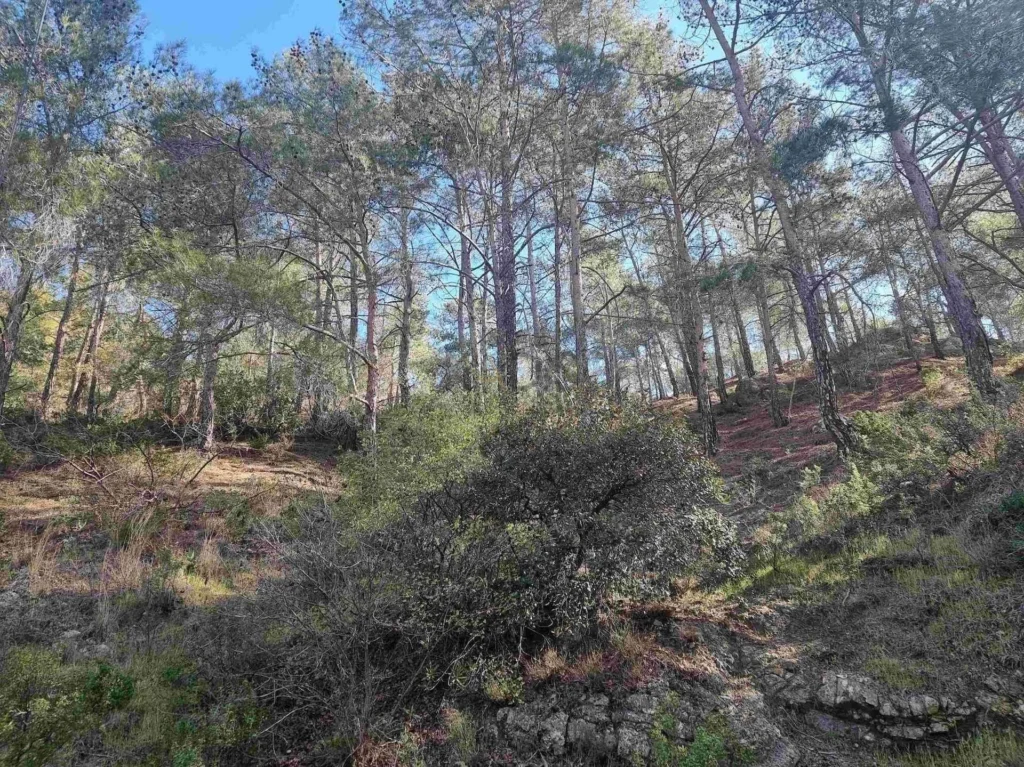 21,690m² Plot for Sale in Moniatis, Limassol District