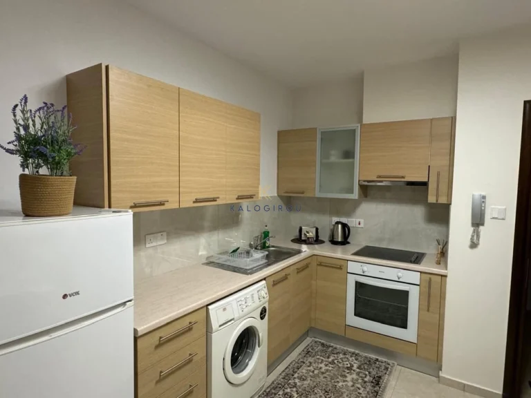 Studio Apartment for Sale in Tersefanou, Larnaca District