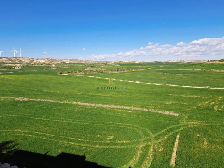1 Bedroom Apartment for Rent in Tersefanou, Larnaca District