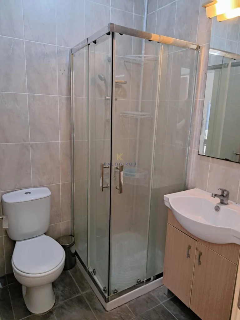 1 Bedroom Apartment for Rent in Tersefanou, Larnaca District