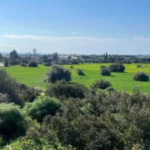 17,392m² Plot for Sale in Kalavasos, Larnaca District