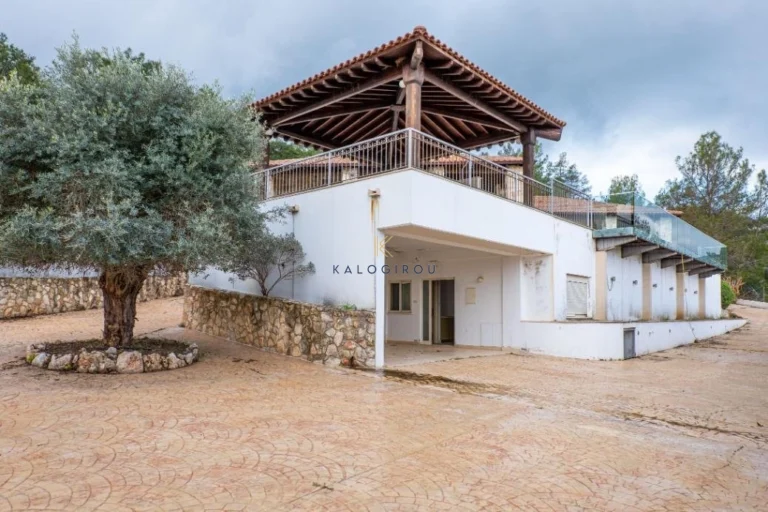 3 Bedroom House for Sale in Neo Chorio Pafou, Paphos District